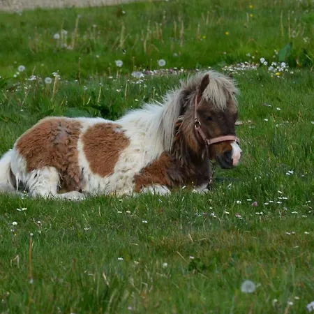 Sea Breeze 아파트 둘린