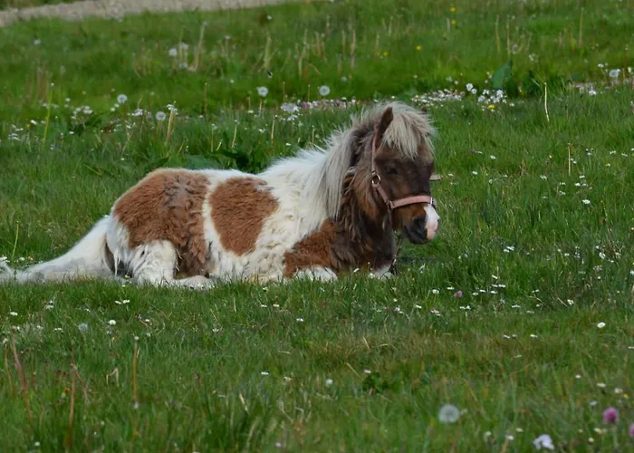 Sea Breeze Apartment Doolin